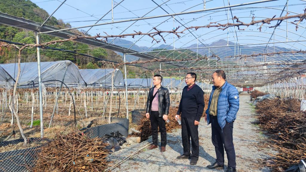 [乡村振兴专题]数字赋能，打造智慧农业，助力乡村振兴——桂林理工大学“数字赋能”助力乡村振兴项目在灌阳县启动-测绘地理信息学院(新)